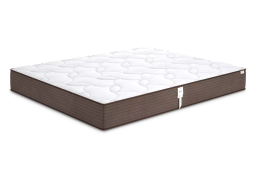 kolekts-ya-raff-t-png-2-1000x700