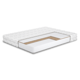 l-ds-cocos-rozr-z-dlya-saytu-t-png-2-800x800